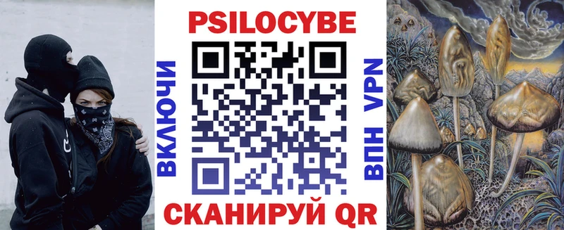 Псилоцибиновые грибы мухоморы Киселёвск