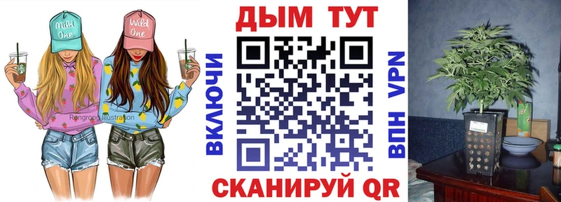 Конопля сатива  мега как зайти  Киселёвск 